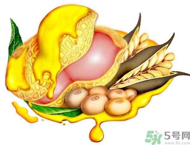 夏天吃哪种油好,冬天吃什么油最好