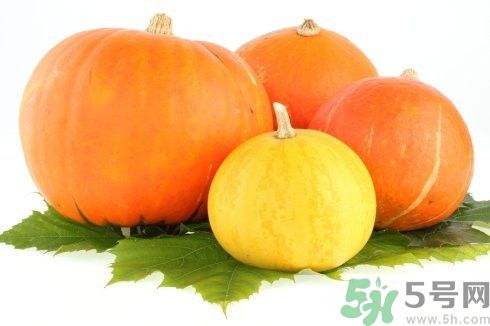 南瓜是什么凉性还是热性的,南瓜是寒性的还是热性的