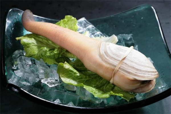 象拔蚌杀法图解,象拔蚌杀了还能放多久 象拔蚌杀法图解,象拔蚌杀了还能放多久