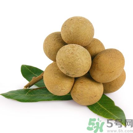 龙眼可以补脑吗,龙脑对眼睛有什么好处