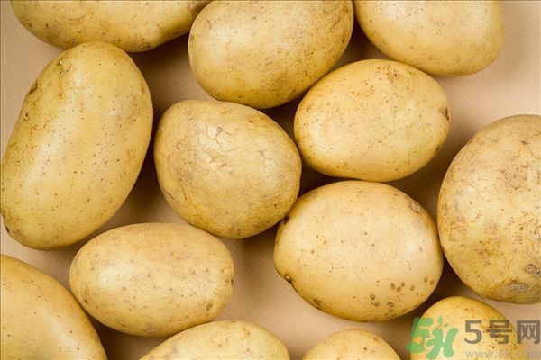 牛蒡和土豆可以一起吃吗,牛蒡茶不能和什么同吃