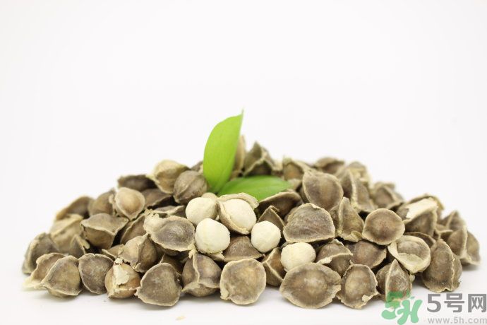 辣木籽可以和黄芪一起吃吗,辣木籽和什么不能一起吃