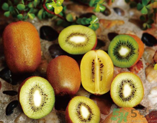 猕猴桃扁嘴的好吗,猕猴桃扁嘴的好还是圆嘴的好