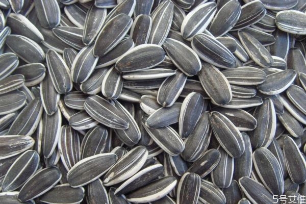 葵花籽是怎么来的,葵花籽的由来 葵花籽是怎么来的,葵花籽的由来