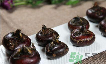 荸荠是寒性还是热性的,荸荠属性热还是寒 荸荠是寒性还是热性的,荸荠属性热还是寒