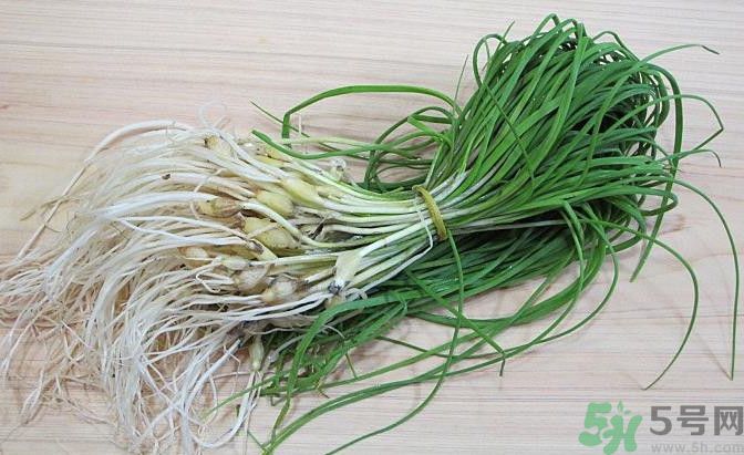 山蒜能吃吗?,山蒜的功效和吃法