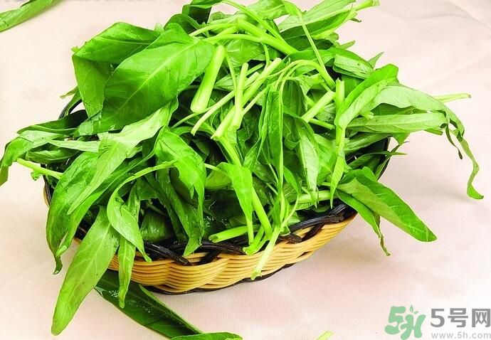 空心菜是什么菜?,空心菜有什么功效和作用 空心菜是什么菜?,空心菜有什么功效和作用