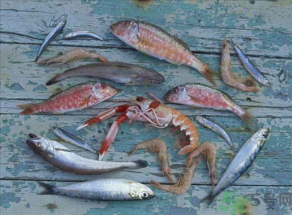 菜市场卖的死虾能买吗,为什么活虾买回来就死了