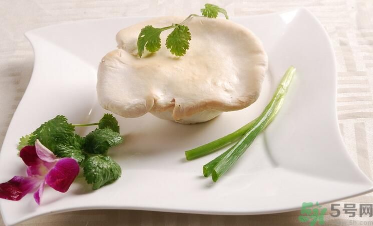 白灵菇和杏鲍菇的区别,杏鲍菇和白玉菇的区别