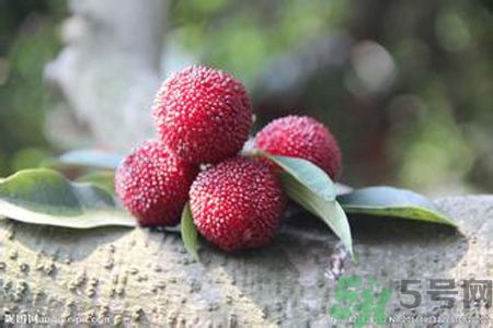 吃杨梅会上火吗?吃杨桃有什么好处坏处,吃杨梅酒会上火吗? 吃杨梅会上火吗?吃杨桃有什么好处坏处,吃杨梅酒会上火吗?