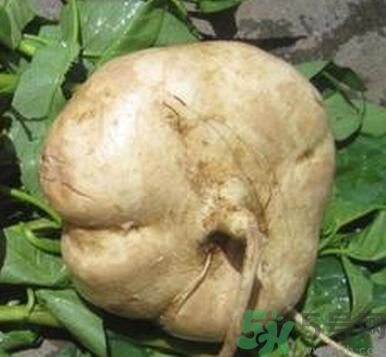 地瓜可不可以生吃,地瓜能生吃吗应该是不能吃的