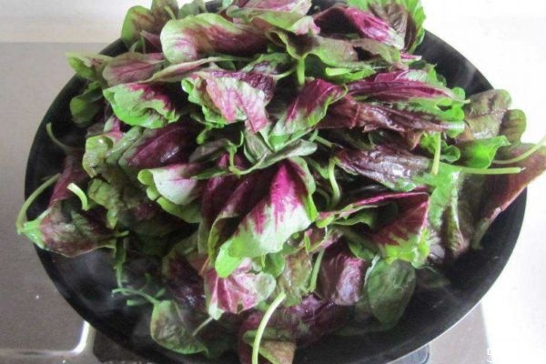 红苋菜是什么菜,红苋菜为什么是红色的