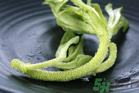 冰草哪里有卖,冰草好吃吗