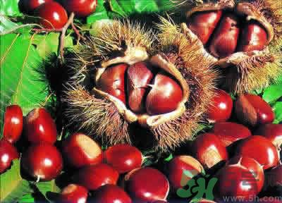 板栗是酸性还是碱性食物,糖炒板栗是酸性还是碱性 板栗是酸性还是碱性食物,糖炒板栗是酸性还是碱性