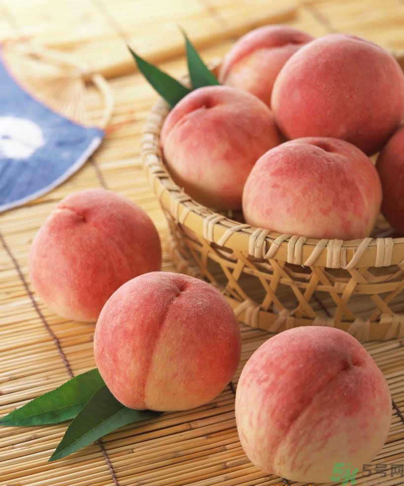 五指毛桃是发物吗,毛桃是发物吗