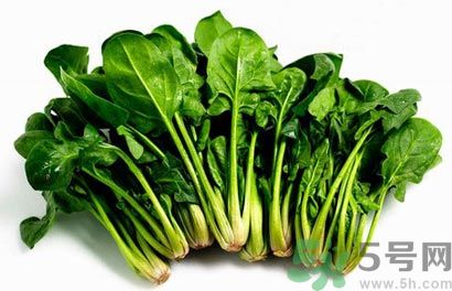 蔬菜有毒吗,什么蔬菜有毒能致死