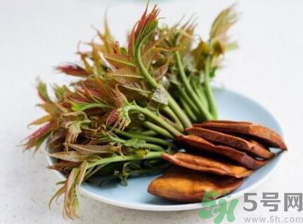 香椿应该怎么吃最安全,香椿的食用方法