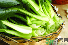 油菜是什么菜图片,什么是油菜