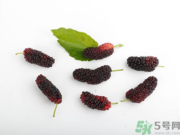 哺乳期能不能吃桑葚干,哺乳期能不能吃桑葚子 哺乳期能不能吃桑葚干,哺乳期能不能吃桑葚子