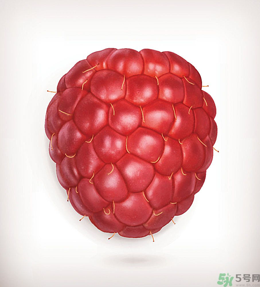 孕妇能不能吃桑葚干,孕妇能吃桑葚子吗?