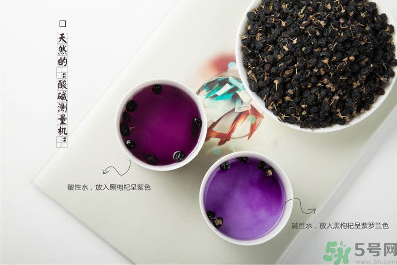 黑枸杞的作用和功效,黑枸杞泡水是蓝色的好还是紫色的好