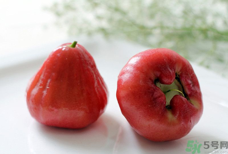 莲雾皮能吃吗,莲雾皮能吃吗怎么吃