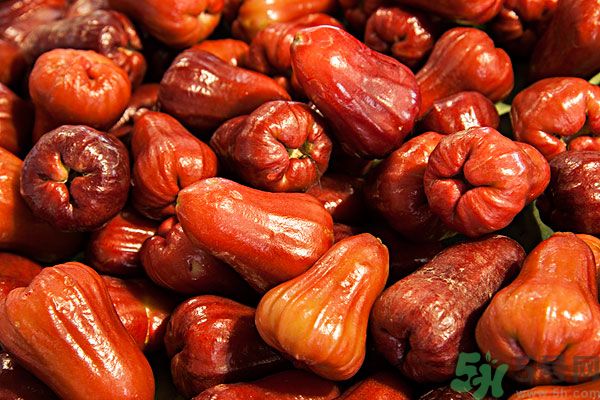 莲雾孕妇能吃吗有什么营养,莲雾孕妇可以吃吗? 莲雾孕妇能吃吗有什么营养,莲雾孕妇可以吃吗?