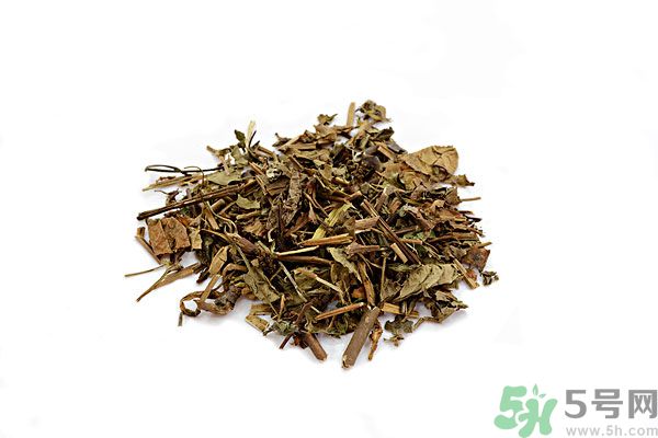 鱼腥草治什么的,鱼腥草的功效和作用泡水喝的功效