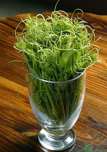 龙须菜孕妇可以吃吗?,龙须菜孕妇能吃吗?