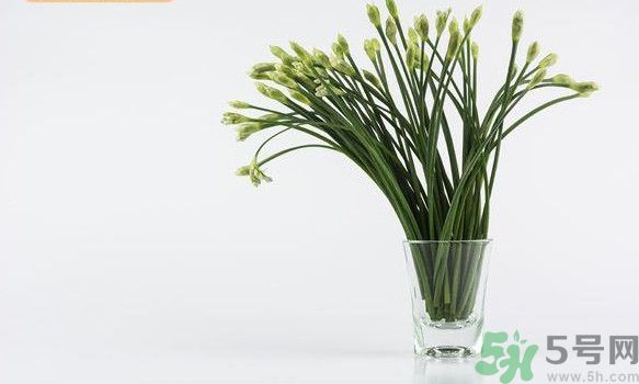 排毒的蔬菜,排毒水果蔬菜