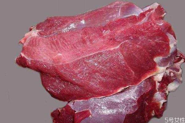 什么人不可以吃鹿肉,哪些人不能吃鹿肉