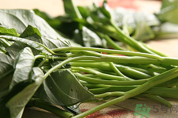 孕妇能吃空心菜吗 初期,孕妇能吃空心菜吗?