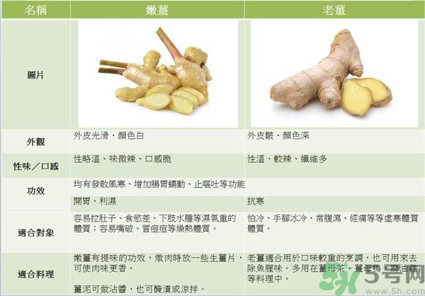 嫩姜和老姜,老姜嫩姜怎么区别 嫩姜和老姜,老姜嫩姜怎么区别