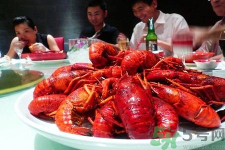 过敏能吃龙虾吗?,吃虾过敏吃龙虾会过敏吗