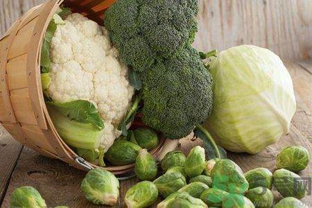 养肠的食物,养肠胃的食物有哪些