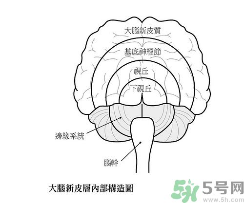 自律神经系统失调,什么是自律神经失调