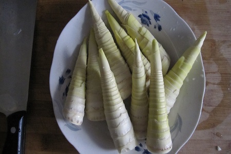 营养专家介绍,营养学文献 营养专家介绍,营养学文献