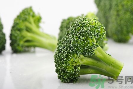 营养素解释,营养专家介绍