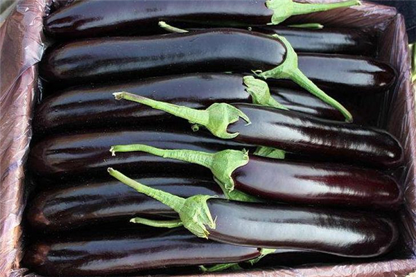 茄子怎么做好吃,茄子直播官方下载v1.5