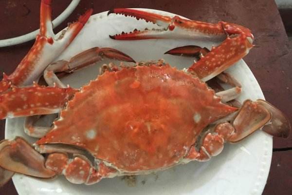 糖尿病人能吃梭子蟹吗?,糖尿病患者能不能吃蟹