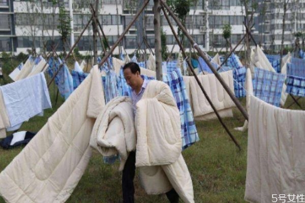 冬天为什么要晒被子,为什么要晒被子 冬天为什么要晒被子,为什么要晒被子