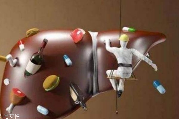 肝不好的人有什么症状,肝不好都有哪些症状