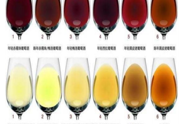 酒一共有多少种类型,酒有些什么种类