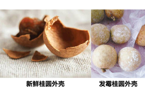 怎么样选干桂圆,什么样的桂圆干好