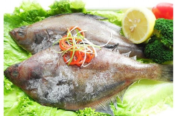 小嘴鱼是什么鱼,小嘴鱼有哪些