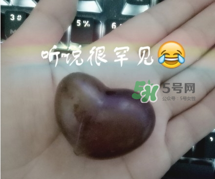 网红葡萄是什么,网红小葡萄女孩图片 网红葡萄是什么,网红小葡萄女孩图片