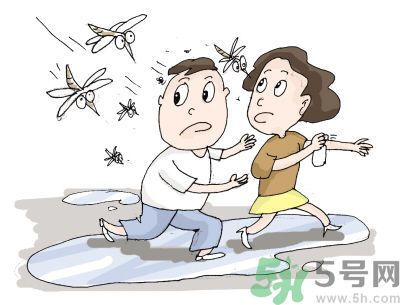 被蚊子咬了怎么止痒消肿小妙招,被蚊子咬过的地方反复痒怎么办