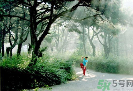 晨练前要吃东西吗,早上锻炼要不要先吃