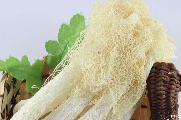 竹荪为什么叫竹荪,竹荪是什么样子的