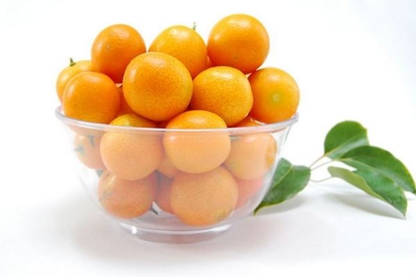 金桔要用盐水泡吗,盐泡金桔怎么泡